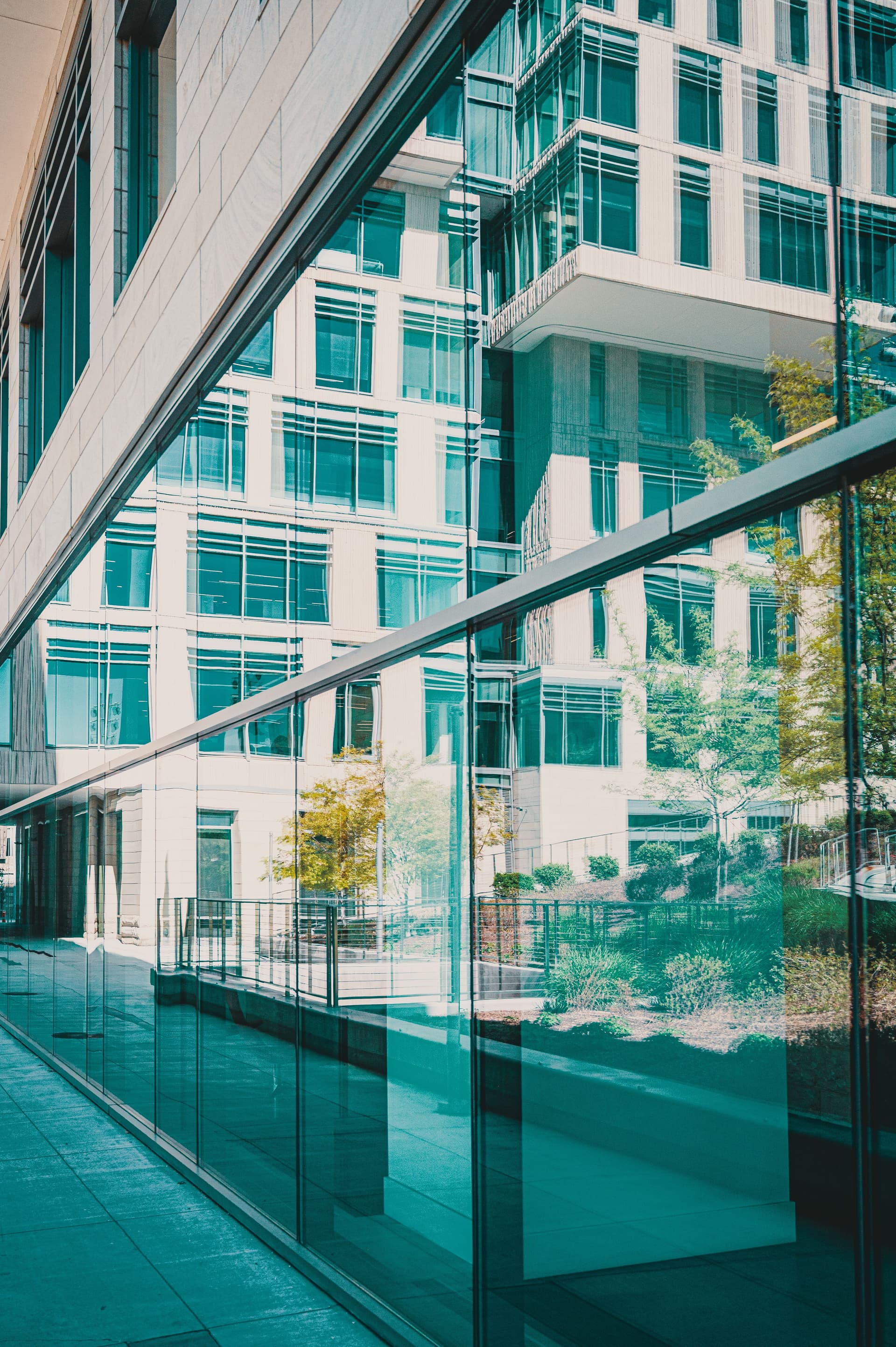 Commercial window cleaning in progress on a building's exterior glass.